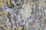 Kézzel Festett Modern Falikép – Arany Fa Motívummal, Vászonkép 180×60 cm Falikép Mauro Ferretti