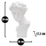 Klasszikus férfi mellszobor fehér 20X17,5X30 cm Dekorációs figura Mauro Ferretti