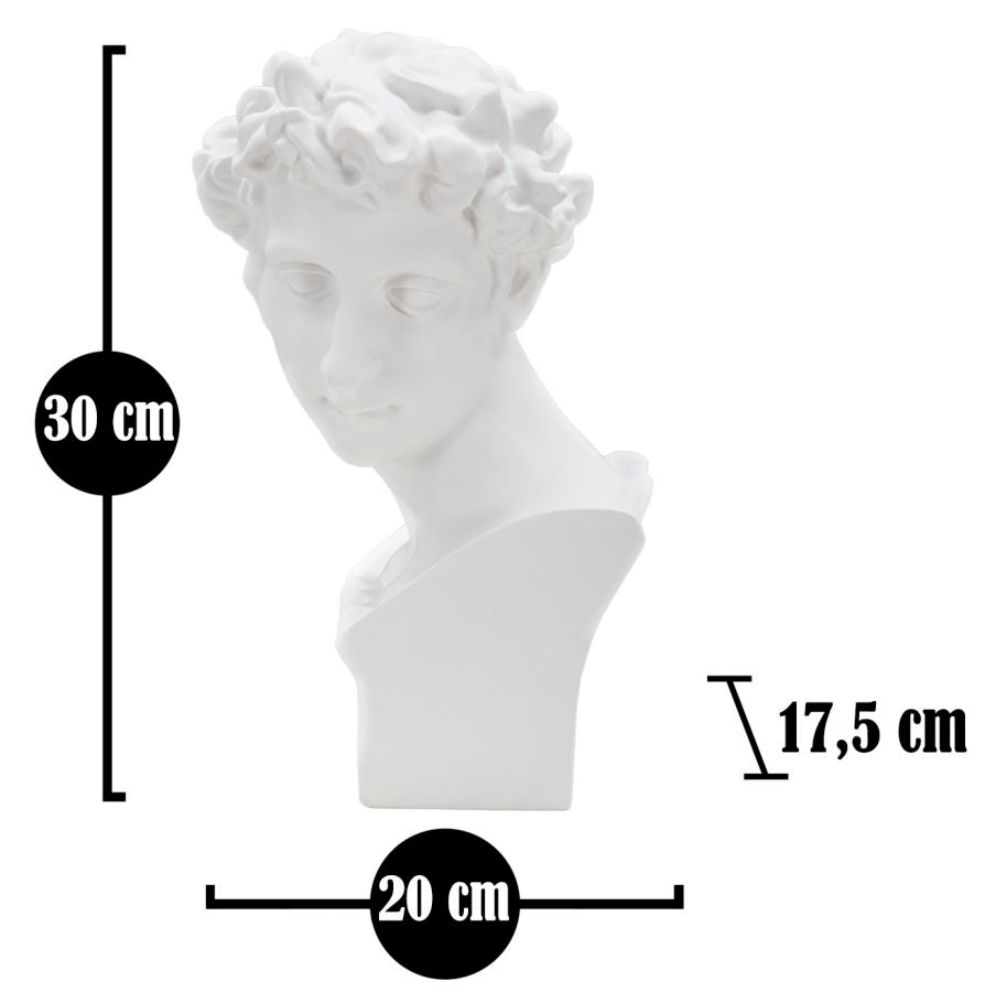 Klasszikus férfi mellszobor fehér 20X17,5X30 cm Dekorációs figura Mauro Ferretti