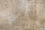 Buddha Falikép Világos Háttérrel – Vászonkép 80×120 cm Falikép Mauro Ferretti