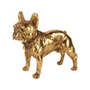 Dekor figura bulldog 12,5 cm – arany