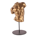 Dekor figura férfi büszt 26 cm – arany