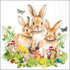Húsvéti Papírszalvéta 33x33 cm 20 db-os háromrétegű Bunny family