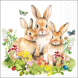 Húsvéti Papírszalvéta 33x33 cm 20 db-os háromrétegű Bunny family