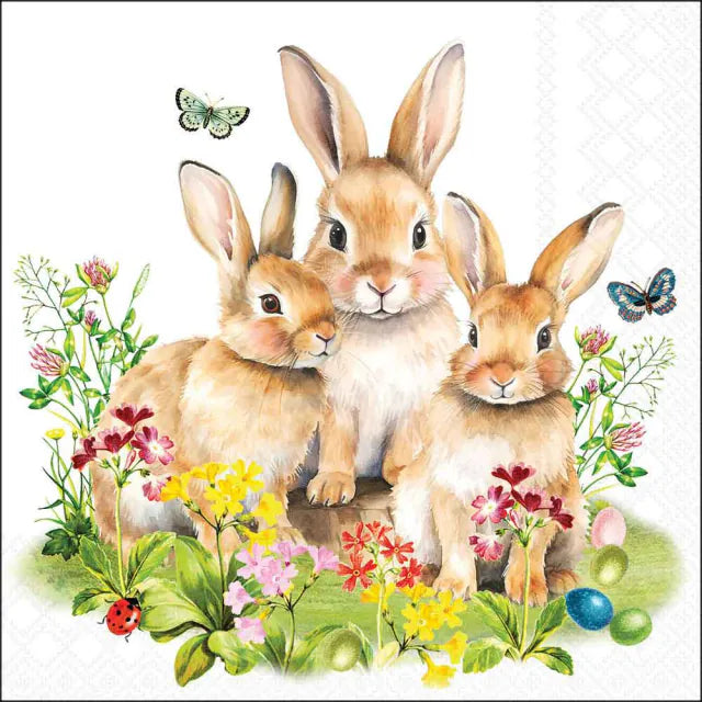 Húsvéti Papírszalvéta 33x33 cm 20 db-os háromrétegű Bunny family
