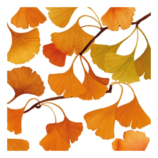 Papírszalvéta 33x33 cm 20 db-os Őszi Gingko levelek