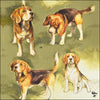 Szalvéta Beagles kutyás papírszalvéta 33x33 cm 20 db-os