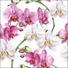 Szalvéta Elegáns orchideák fehér háromrétegű papírszalvéta 33x33 cm 20 db-os