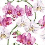 Szalvéta Elegáns orchideák fehér háromrétegű papírszalvéta 33x33 cm 20 db-os