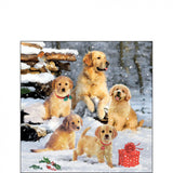 Szalvéta Golden retriever kölykök karácsonyi papírszalvéta 25x25 cm 20 db-os