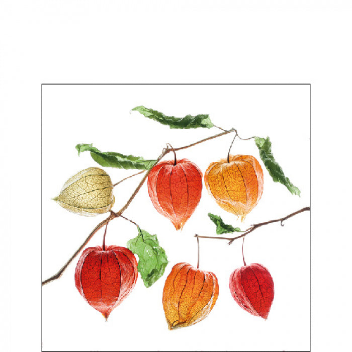 Szalvéta Lampion flower papírszalvéta 25x25 cm 20 db