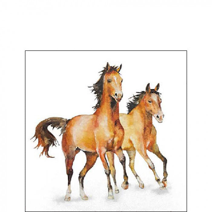 Szalvéta Lovas papírszalvéta 25x25 cm Wild horses