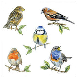 Szalvéta Madárkás papírszalvéta 33x33 cm Bird species