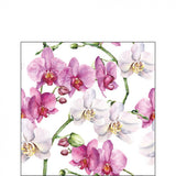 Szalvéta Orchidea virágos három rétegű koktél papírszalvéta Elegant orchids white
