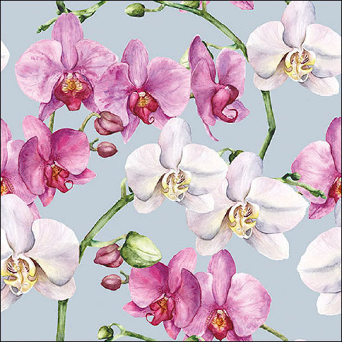 Szalvéta Orchidea virágos három rétegű papírszalvéta Elegant orchids blue 33x33 cm