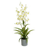 Selyemvirág lepkeorchidea 3 ágú Oncidium műanyag kaspóban 70 cm