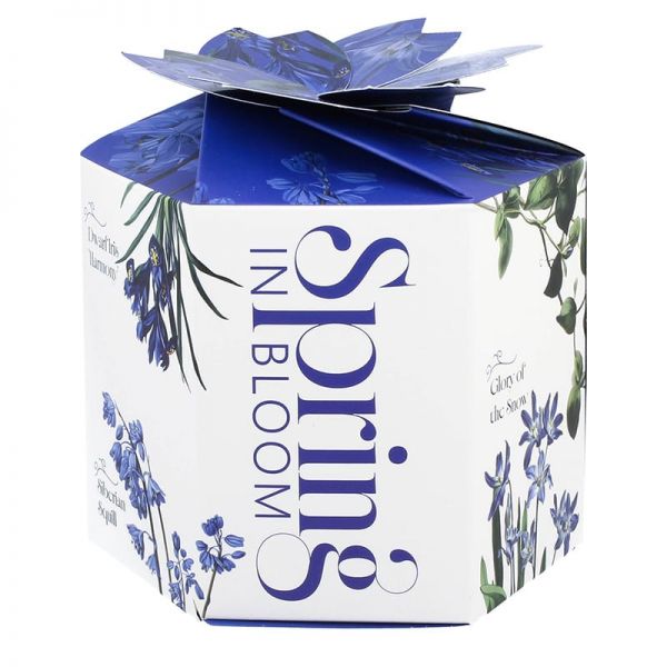Virágos porcelán bögre szűrővel – 400 ml – kék díszdobozos
