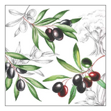 Szalvéta Olives papírszalvéta