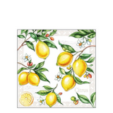 Szalvéta Citrus papírszalvéta