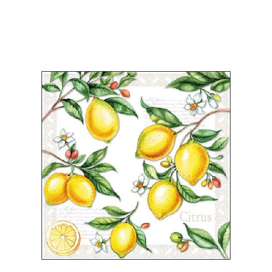 Szalvéta Citrus papírszalvéta