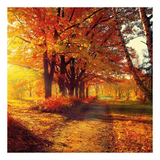 Szalvéta Autumn Park papírszalvéta