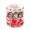 Gyertya Cicás átvilágítós viasz gyertya Cats in Tea Cups közepes