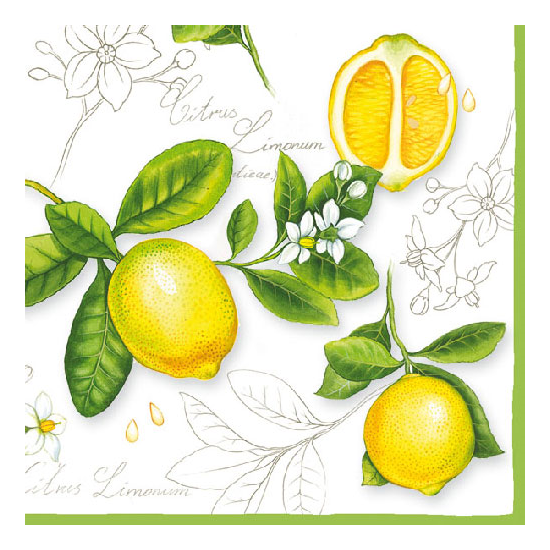 Szalvéta Citrus Limonum papírszalvéta