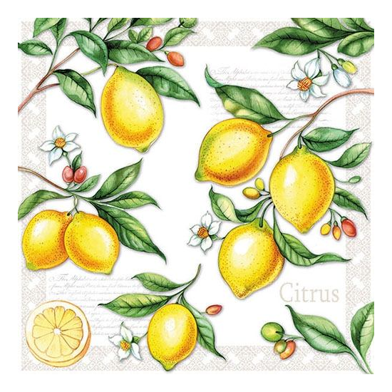 Szalvéta Citrus papírszalvéta