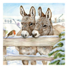 Szalvéta Donkeys papírszalvéta