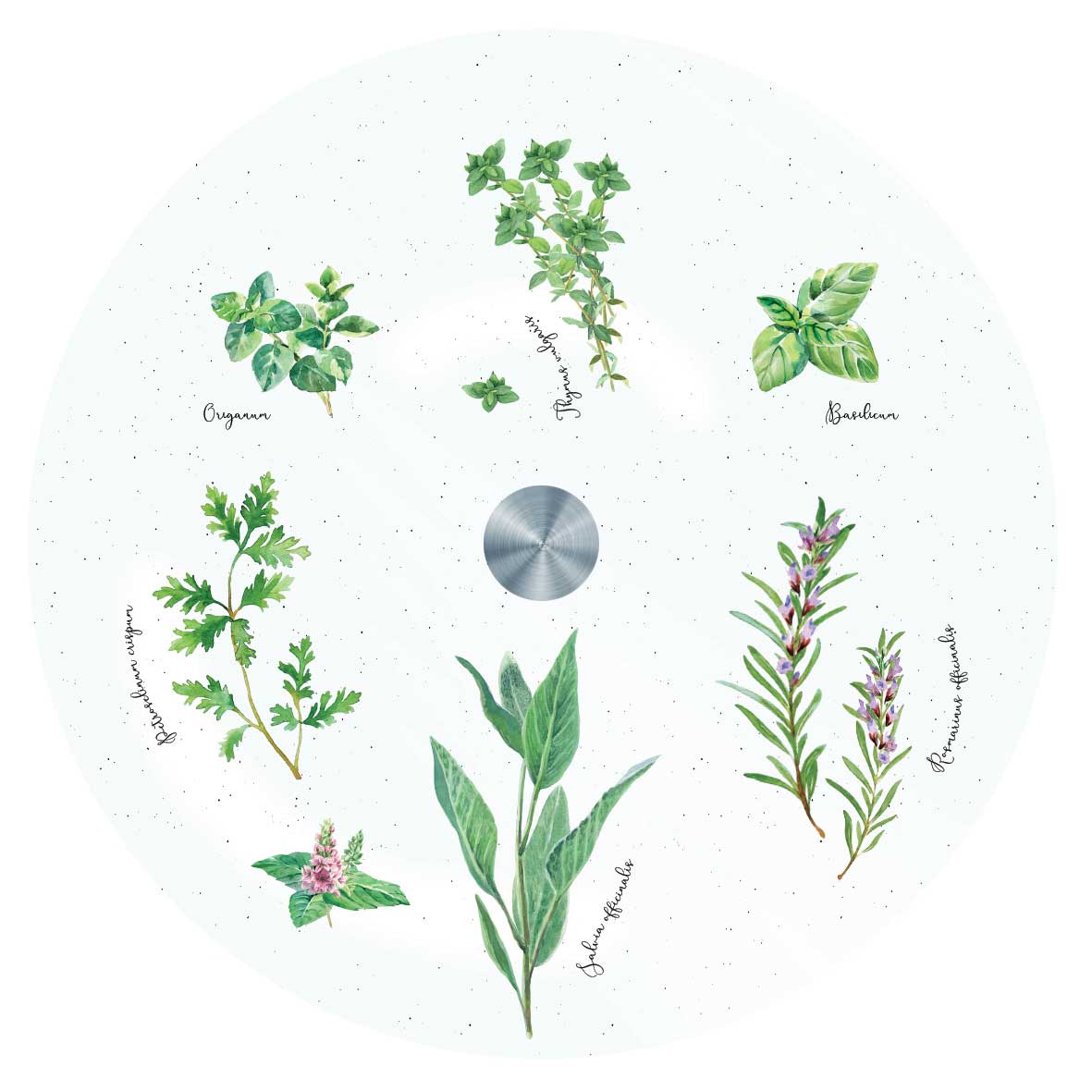 Tál Forgó üvegtál 32cm fűszernövényes díszdobozban Herbarium