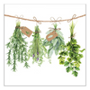 Szalvéta Fresh Herbs papírszalvéta 33x33 cm 20 db-os