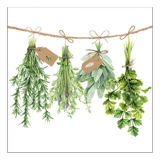 Szalvéta Fresh Herbs papírszalvéta 33x33 cm 20 db-os