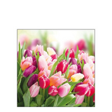 Szalvéta Glorious Tulips papírszalvéta