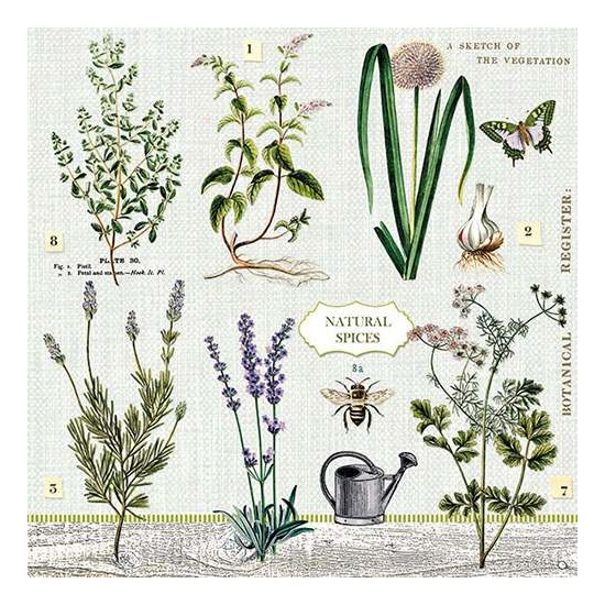 Szalvéta Herbs Garden papírszalvéta