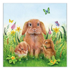 Szalvéta Húsvéti nyuszis papírszalvéta, 33x33cm - Rabbit Family