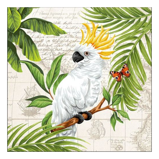 Szalvéta Kakadu papírszalvéta 33x33cm - Cockatoo