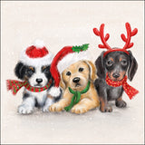 Szalvéta Karácsonyi papírszalvéta 33x33 cm Sweet Dogs
