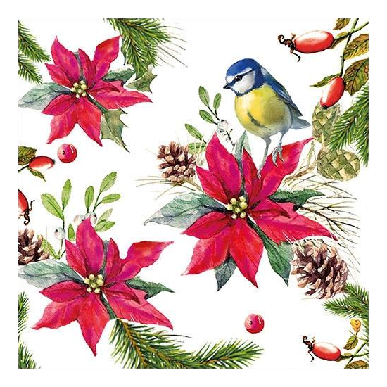 Szalvéta Karácsonyi papírszalvéta Bird on Poinsettia white
