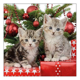 Szalvéta Karácsonyi papírszalvéta cicás Christmas Kitten