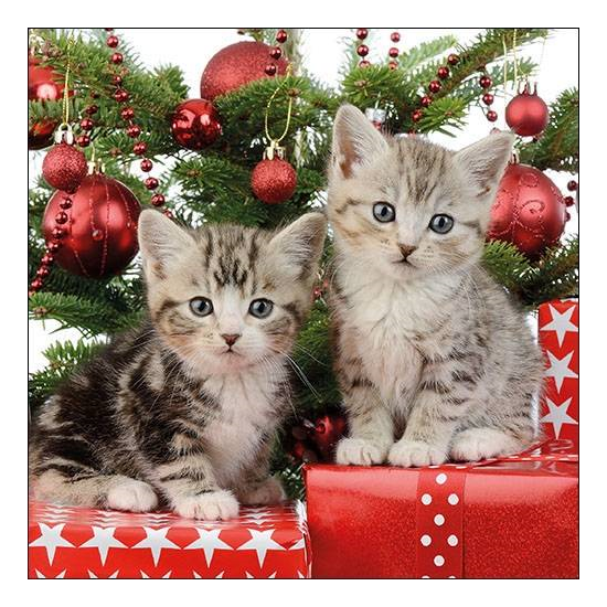 Szalvéta Karácsonyi papírszalvéta cicás Christmas Kitten