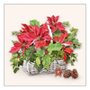 Szalvéta Karácsonyi papírszalvéta Poinsettia In Basket