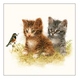 Szalvéta Kitten Friends papírszalvéta