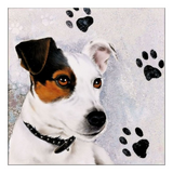 Szalvéta Kutyás papírszalvéta 33x33cm - Jack Russel