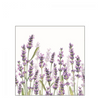 Szalvéta Lavender Shades white papírszalvéta 25x25 cm 20 db-os
