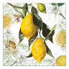 Szalvéta Lemon papírszalvéta 33x33cm