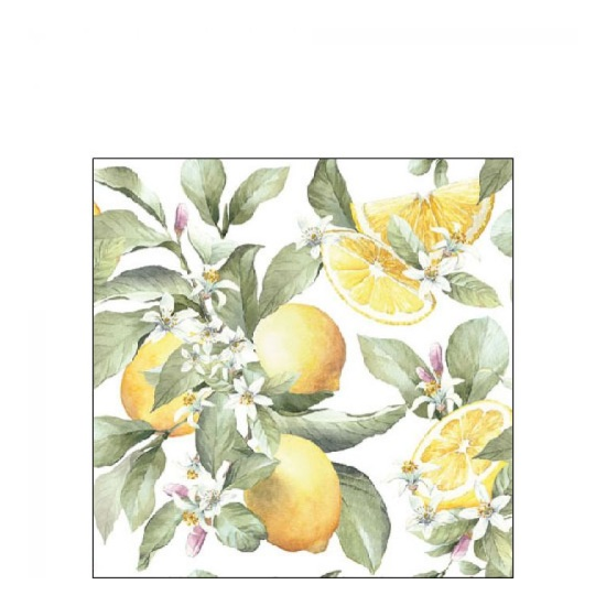 Szalvéta Limoni papírszalvéta 25x25 cm 20 db-os