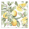 Szalvéta Limoni papírszalvéta 33x33 cm 20 db-os