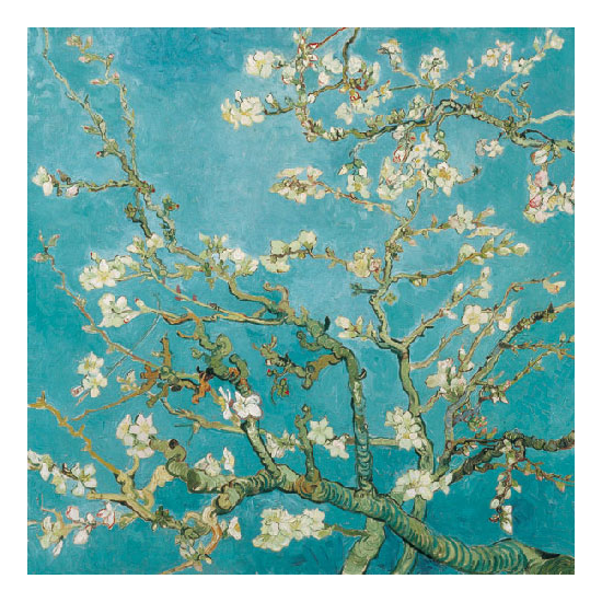 Szalvéta Mandulavirágzás papírszalvéta 33x33cm - Almond Blossom