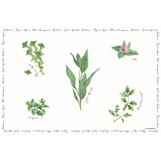 Tányéralátét, poháralátét Műanyag tányéralátét 45x30cm fűszernövényes Herbarium