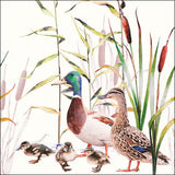 Szalvéta Papírszalvéta 33x33 cm 20 db-os Kacsák